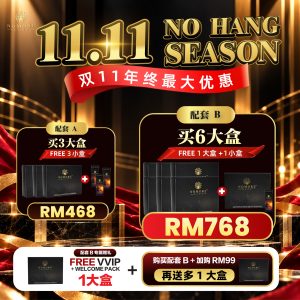NVVIP 双11【3大送3小】